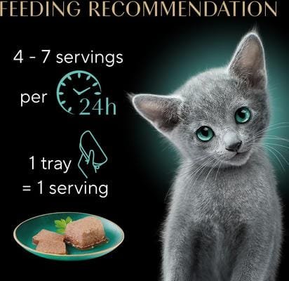 Recommended feeding schedule and portions for Russian Blue kittens